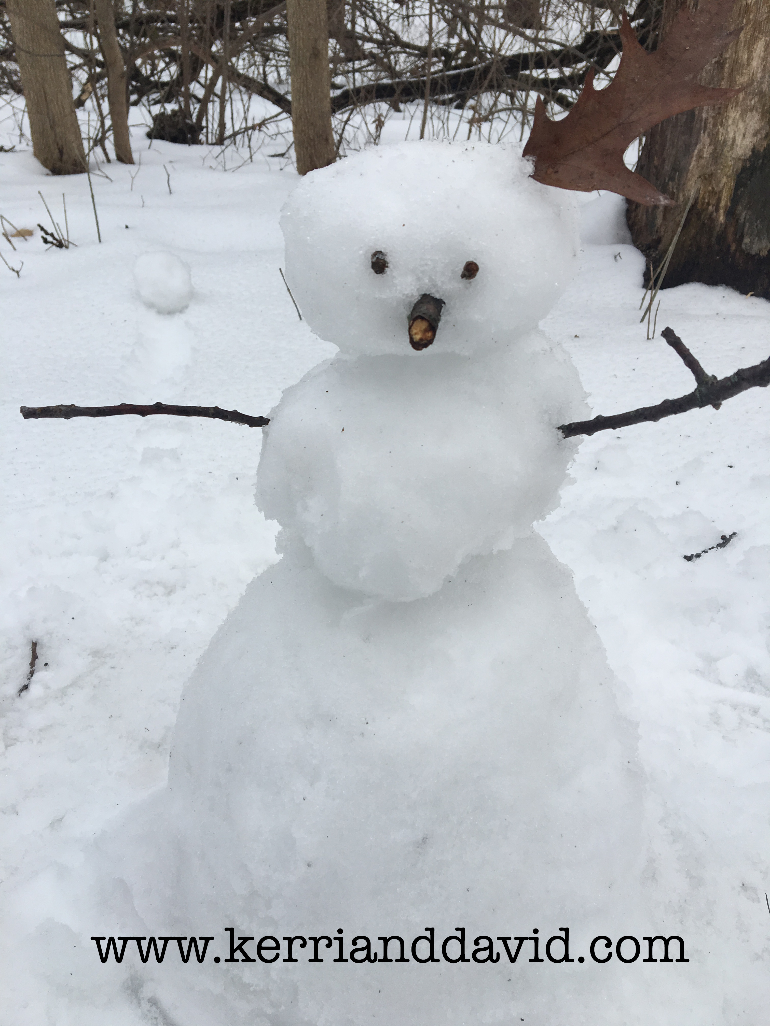 our snowman feb 14 2019 'valentino' website box.jpg