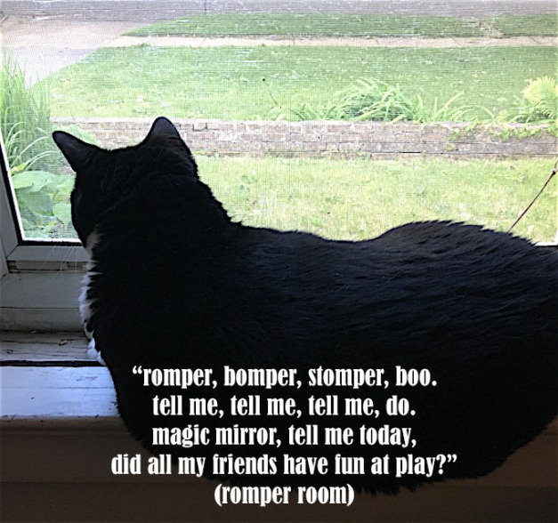 bcat in the window romper room